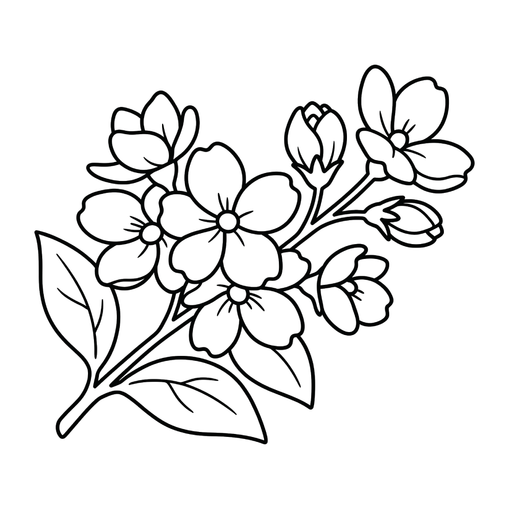 Jazmín páginas para colorear para adultos pdf