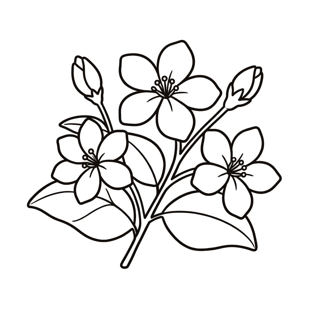 Jazmín páginas para colorear gratis