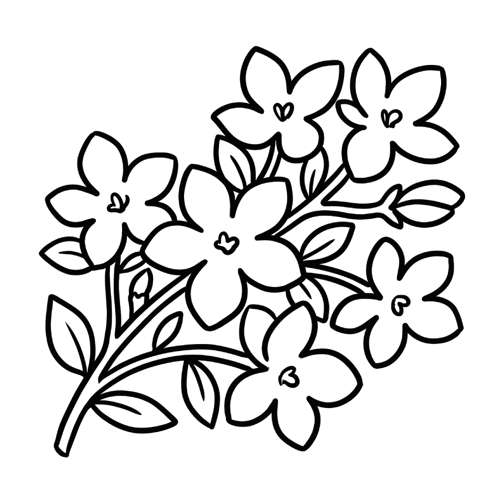 Jazmín dibujos para colorear