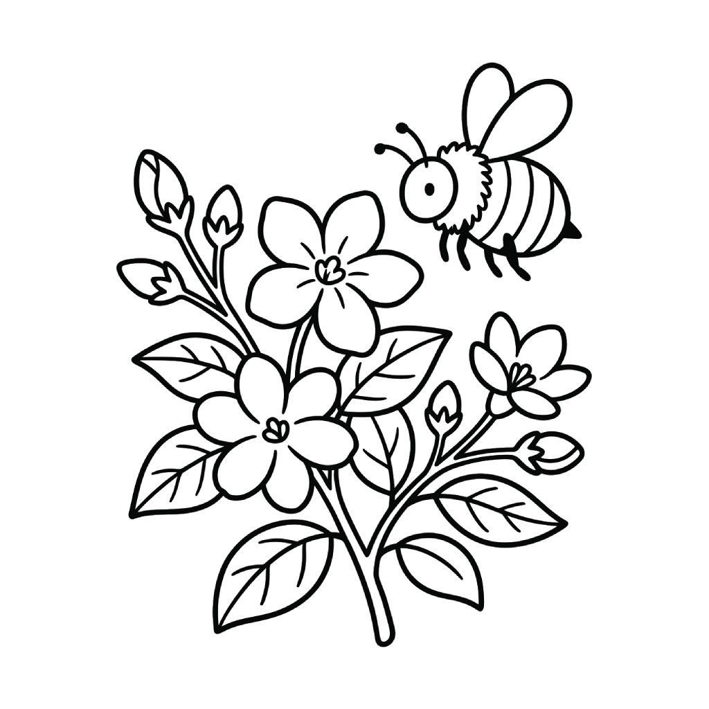 colorear páginas de Jazmín