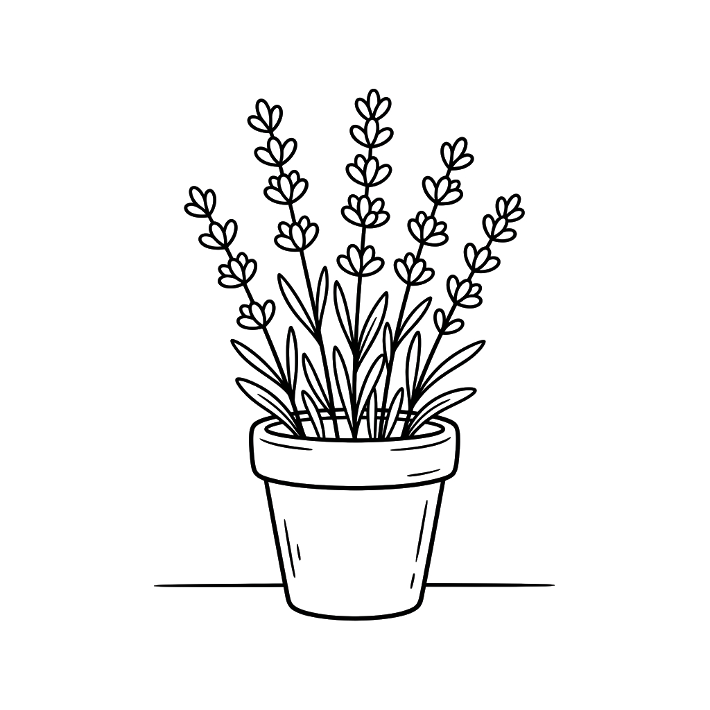 páginas para colorear imprimibles gratis Lavanda