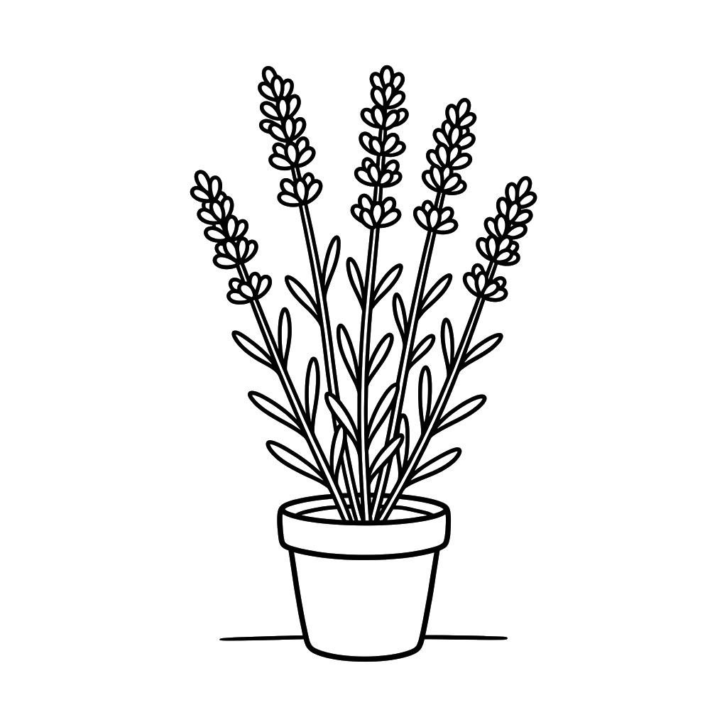 páginas para colorear gratis Lavanda para adultos