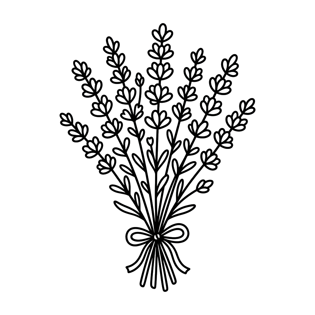 Lavanda para colorear