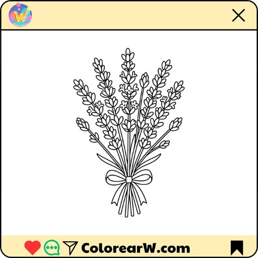 Lavanda para colorear thumbnail