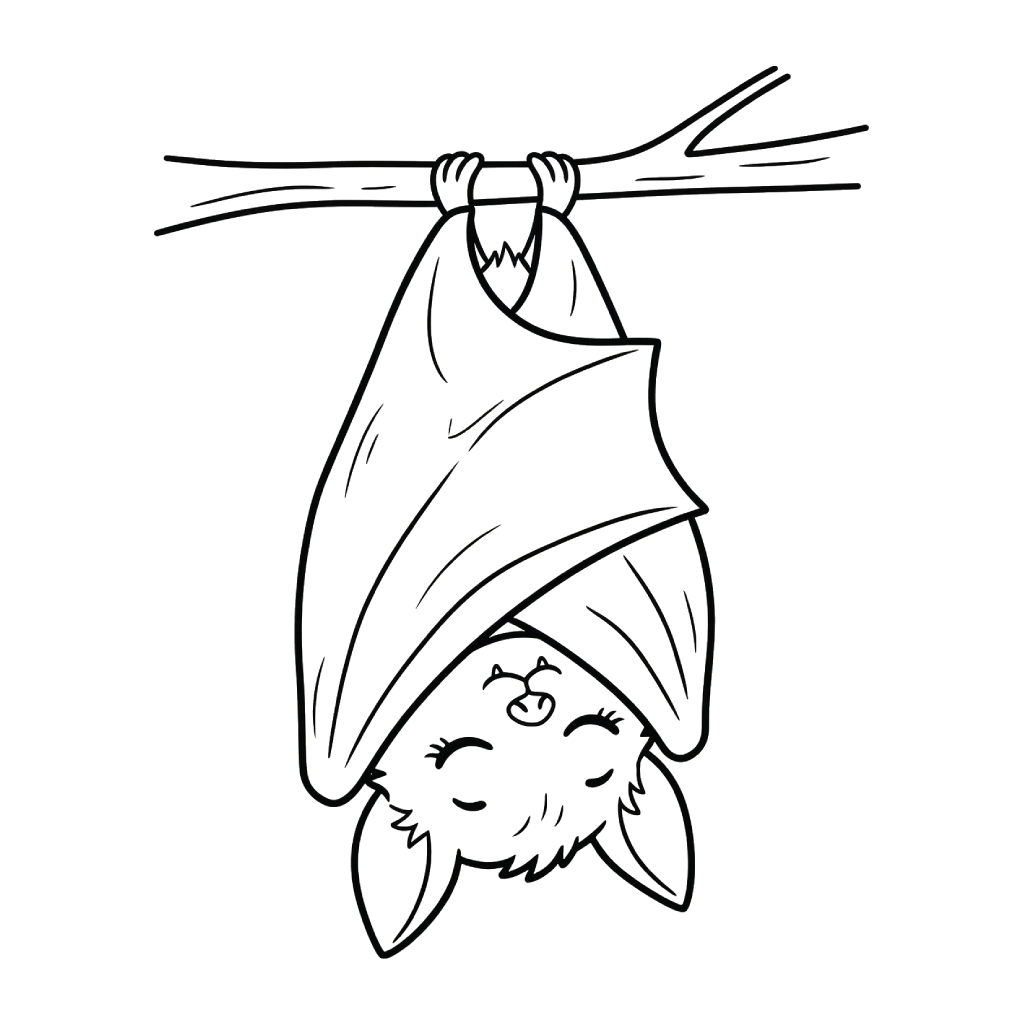 Murciélago páginas para colorear para imprimir gratis