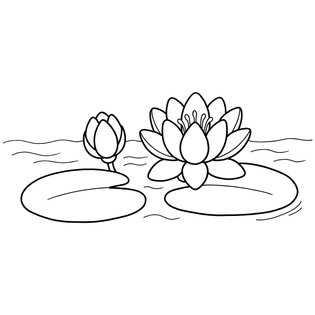 páginas para colorear de preescolar Nenúfar