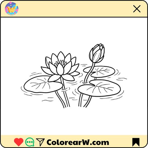 Nenúfar para colorear thumbnail