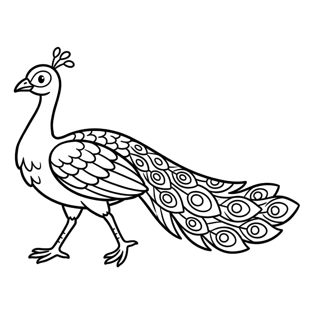 Pavo Real páginas para colorear para adultos