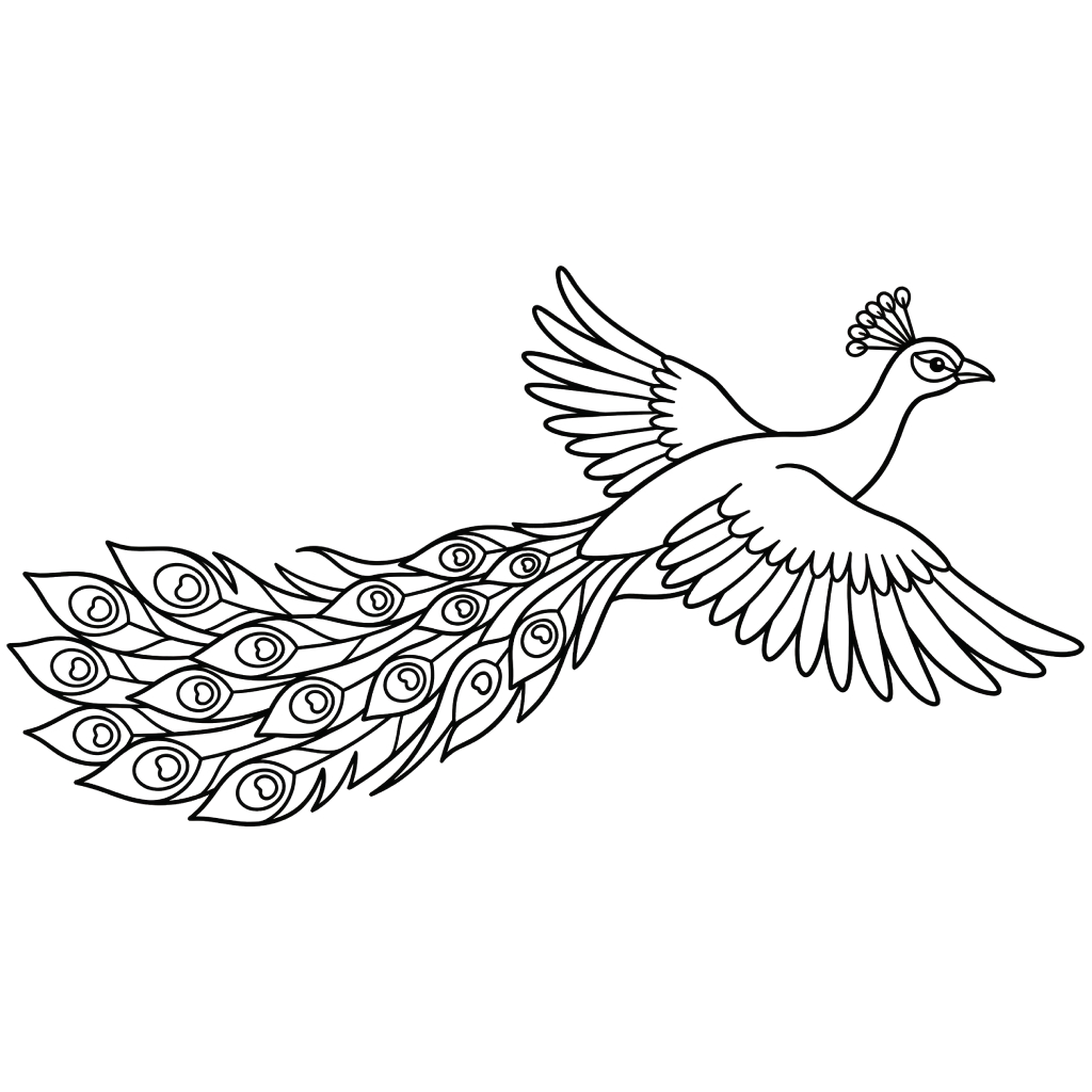 páginas para colorear gratis Pavo Real