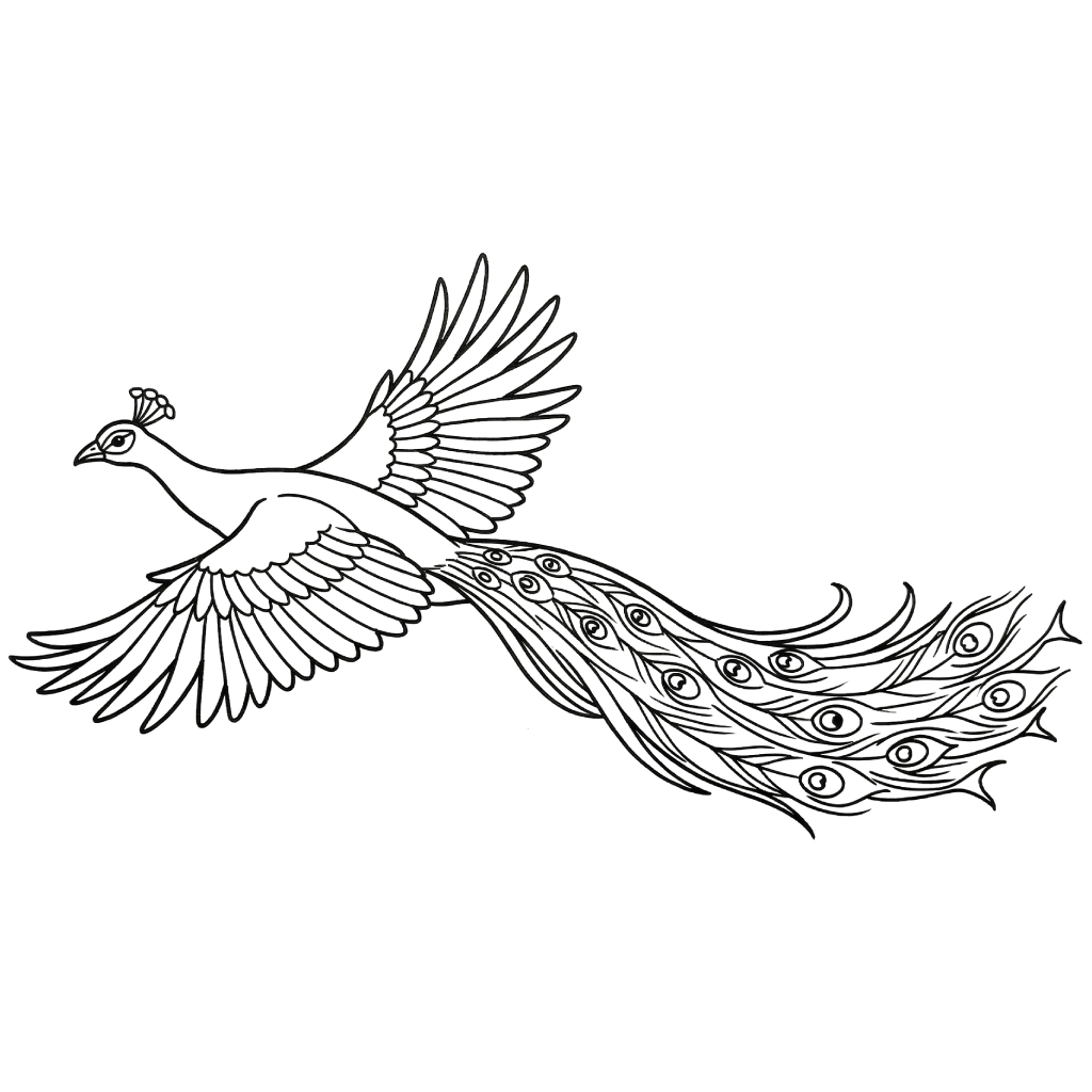 Pavo Real páginas para colorear gratis