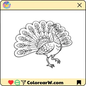 Pavo Real 54 Pavo Real para colorear thumbnail