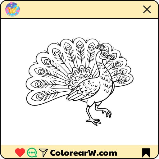 Pavo Real para colorear thumbnail