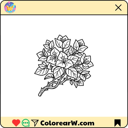 Buganvilla para colorear thumbnail