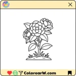 Camelia thumbnail