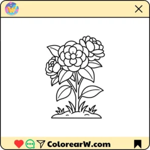 Camelia thumbnail