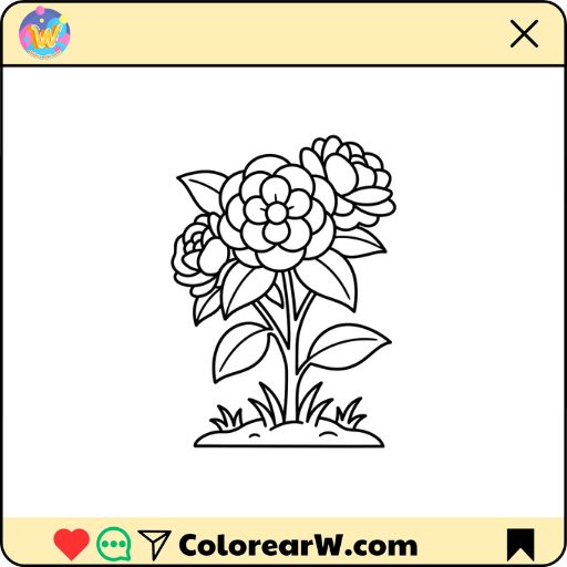 Camelia para colorear thumbnail