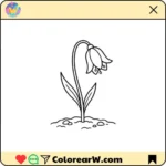 Campanilla Azul thumbnail