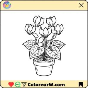 Ciclamen 1 Ciclamen thumbnail