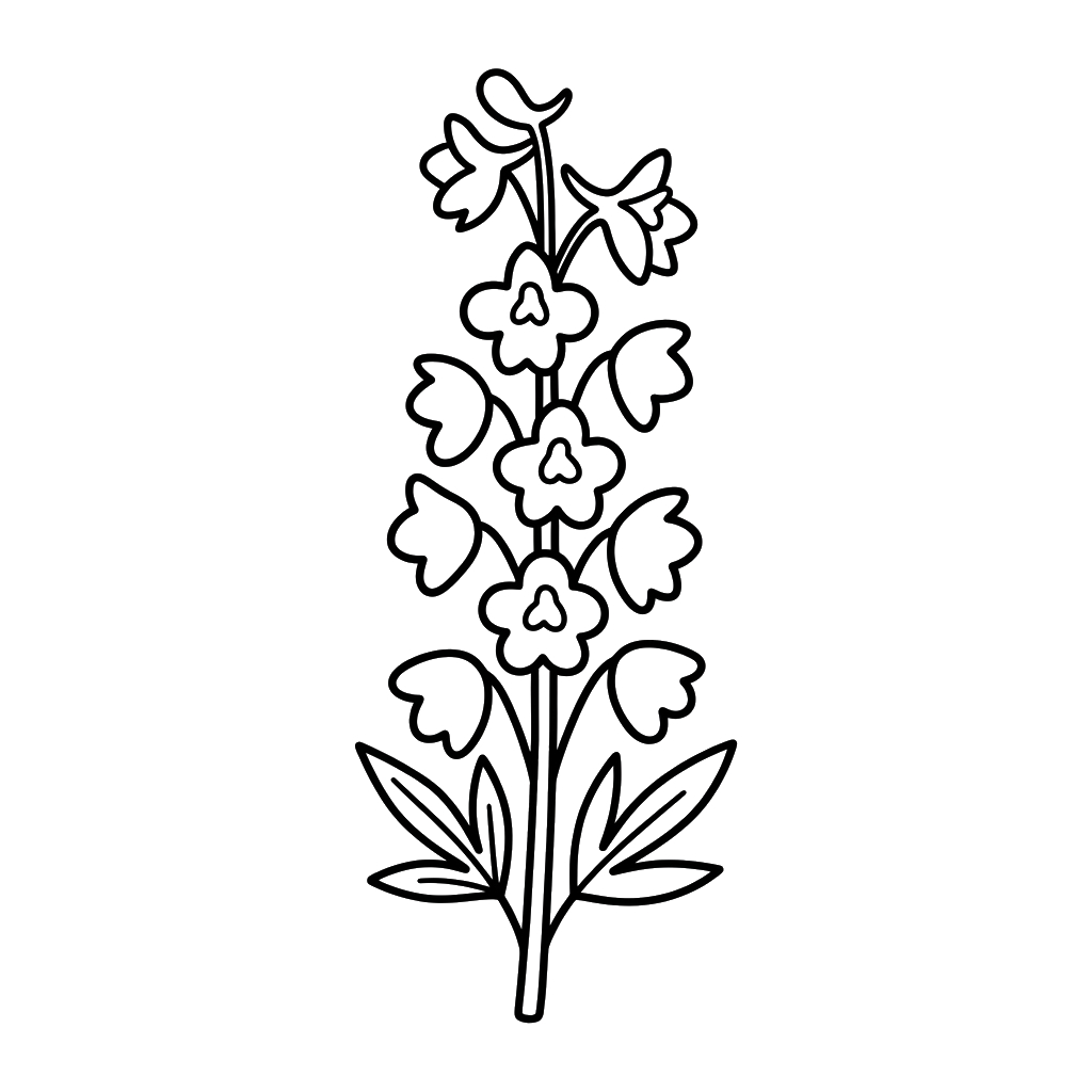 Delphinium 3 dibujos para colorear Delphinium 1