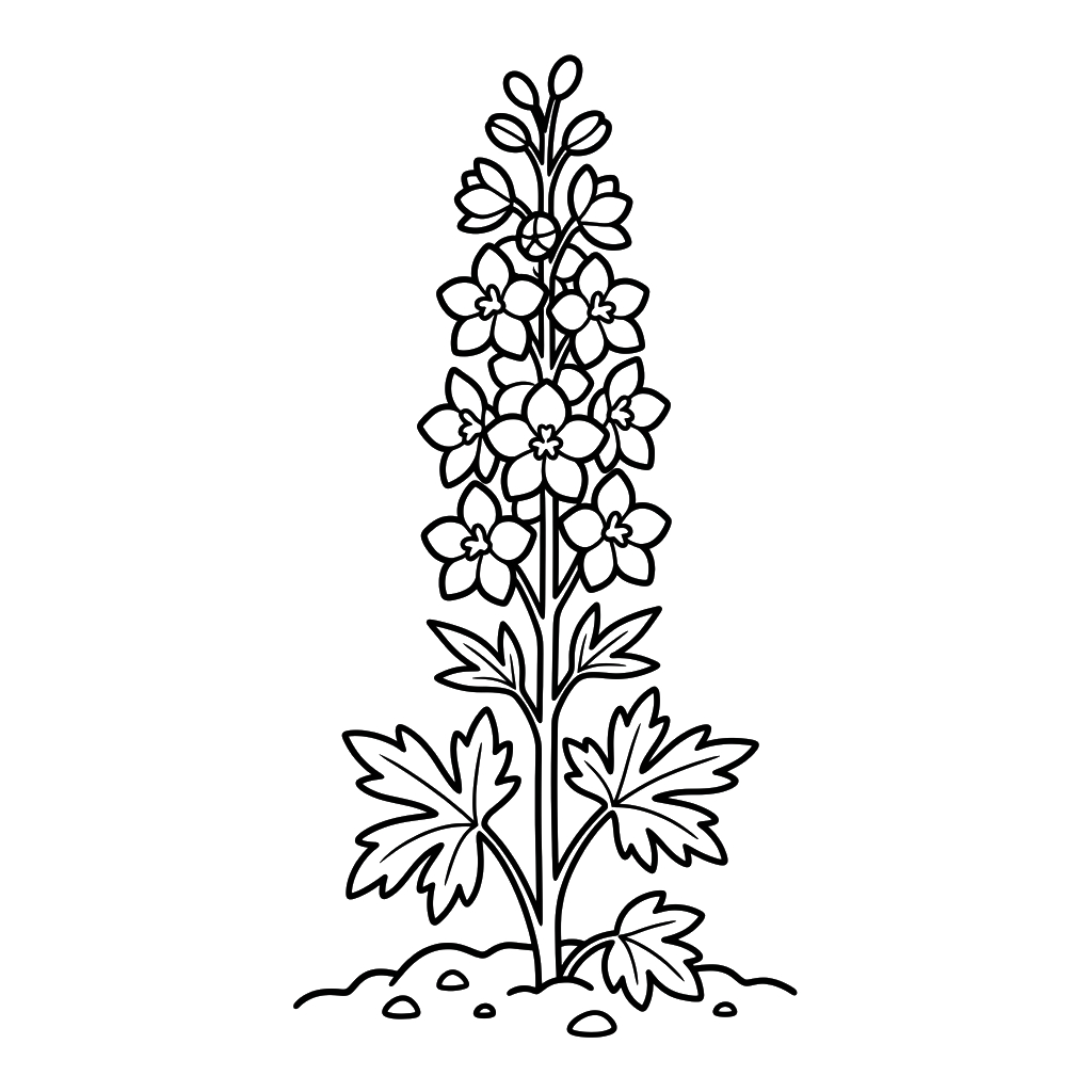 Delphinium 14 niños Delphinium páginas para colorear