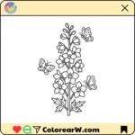 Delphinium thumbnail
