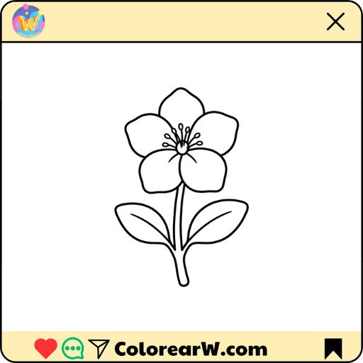 Eléboro para colorear thumbnail