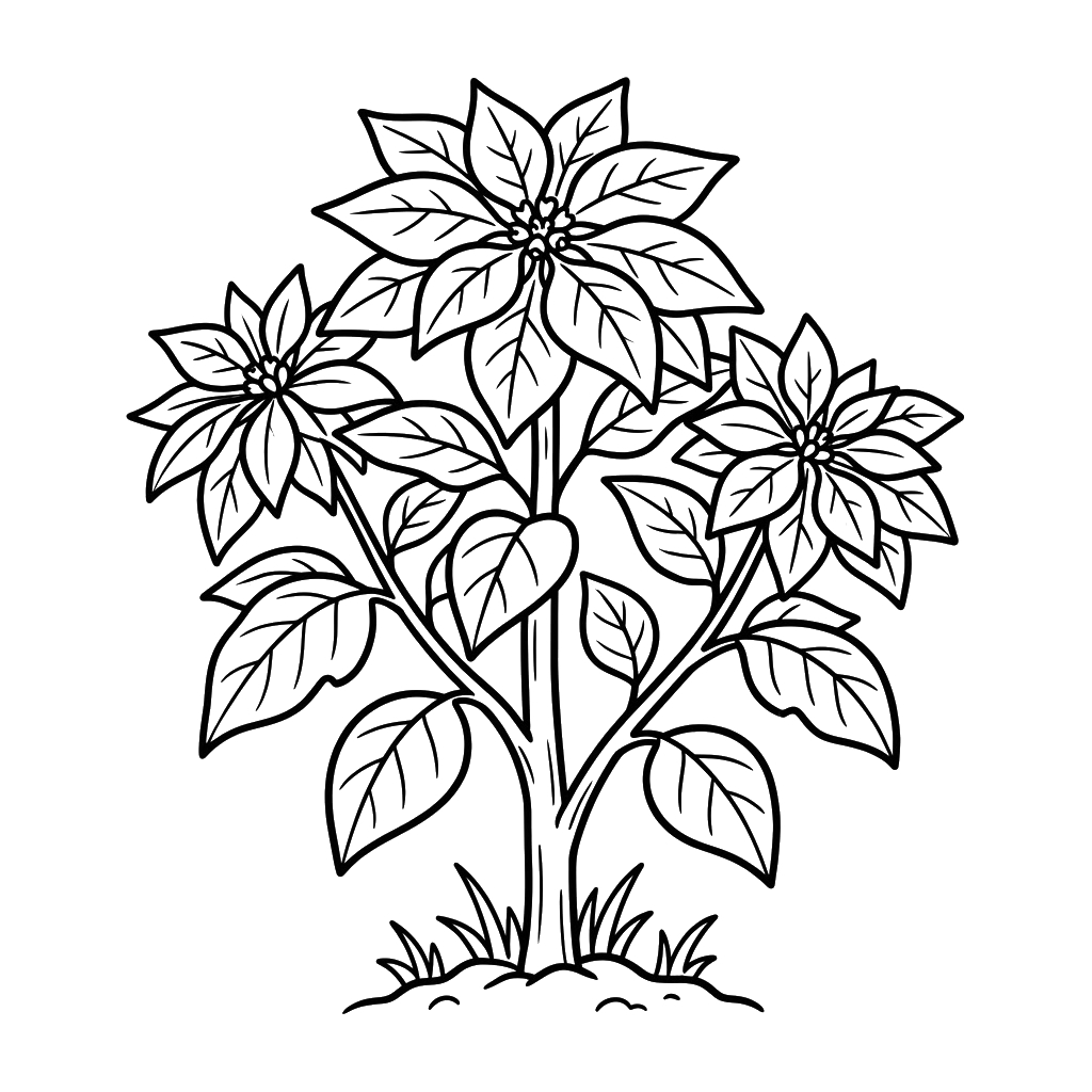 páginas para colorear gratis Flor de Pascua para niños 1