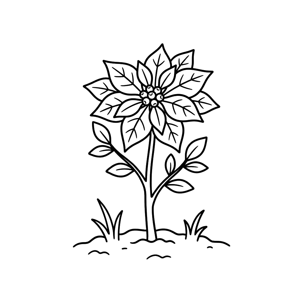 páginas para colorear para Flor de Pascua