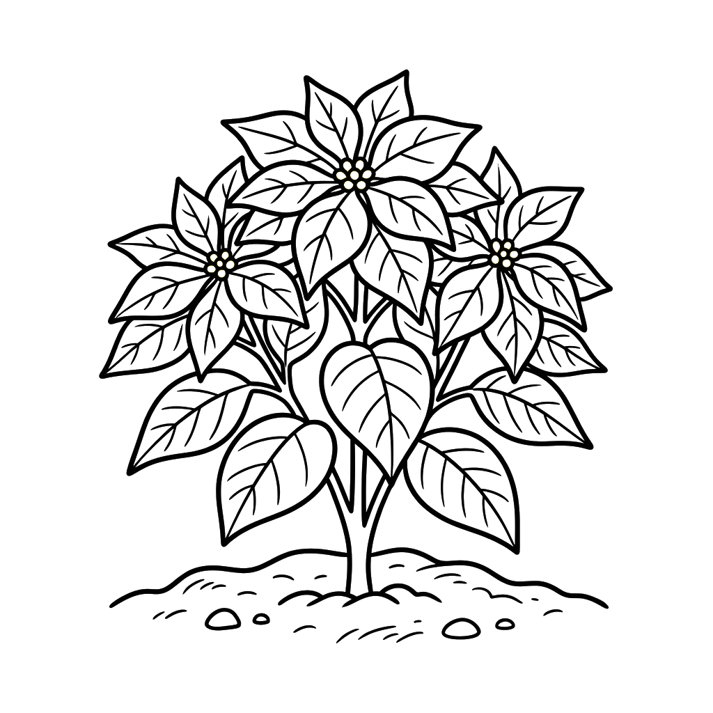 Flor de Pascua dibujos para colorear