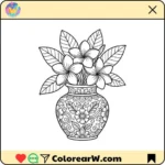 Frangipani thumbnail