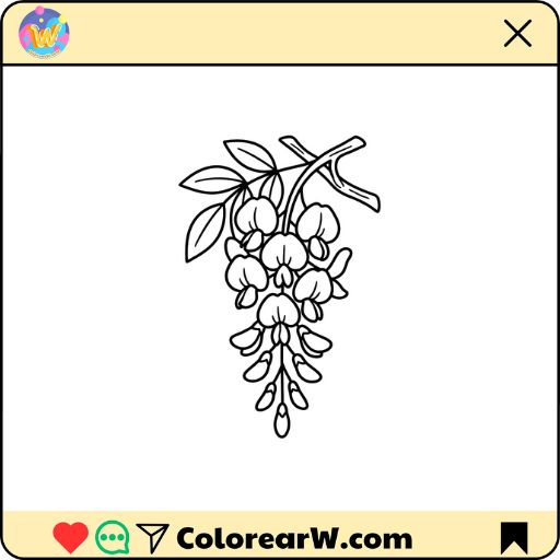 Glicina para colorear thumbnail