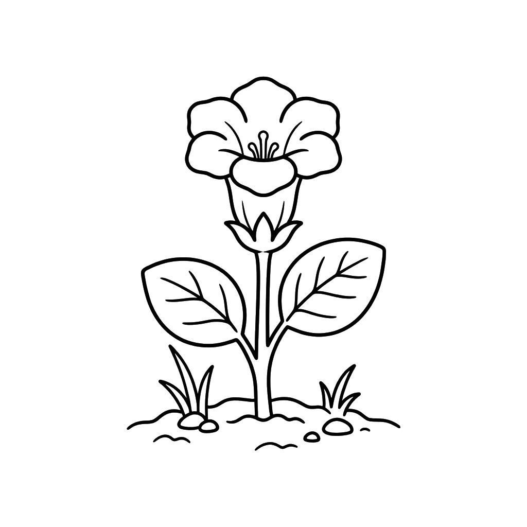Gloxinia dibujos para colorear