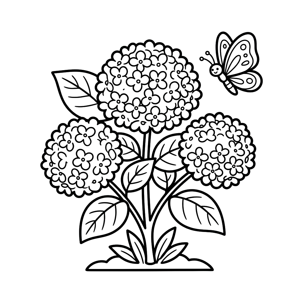 Hortensia adornos para colorear 1