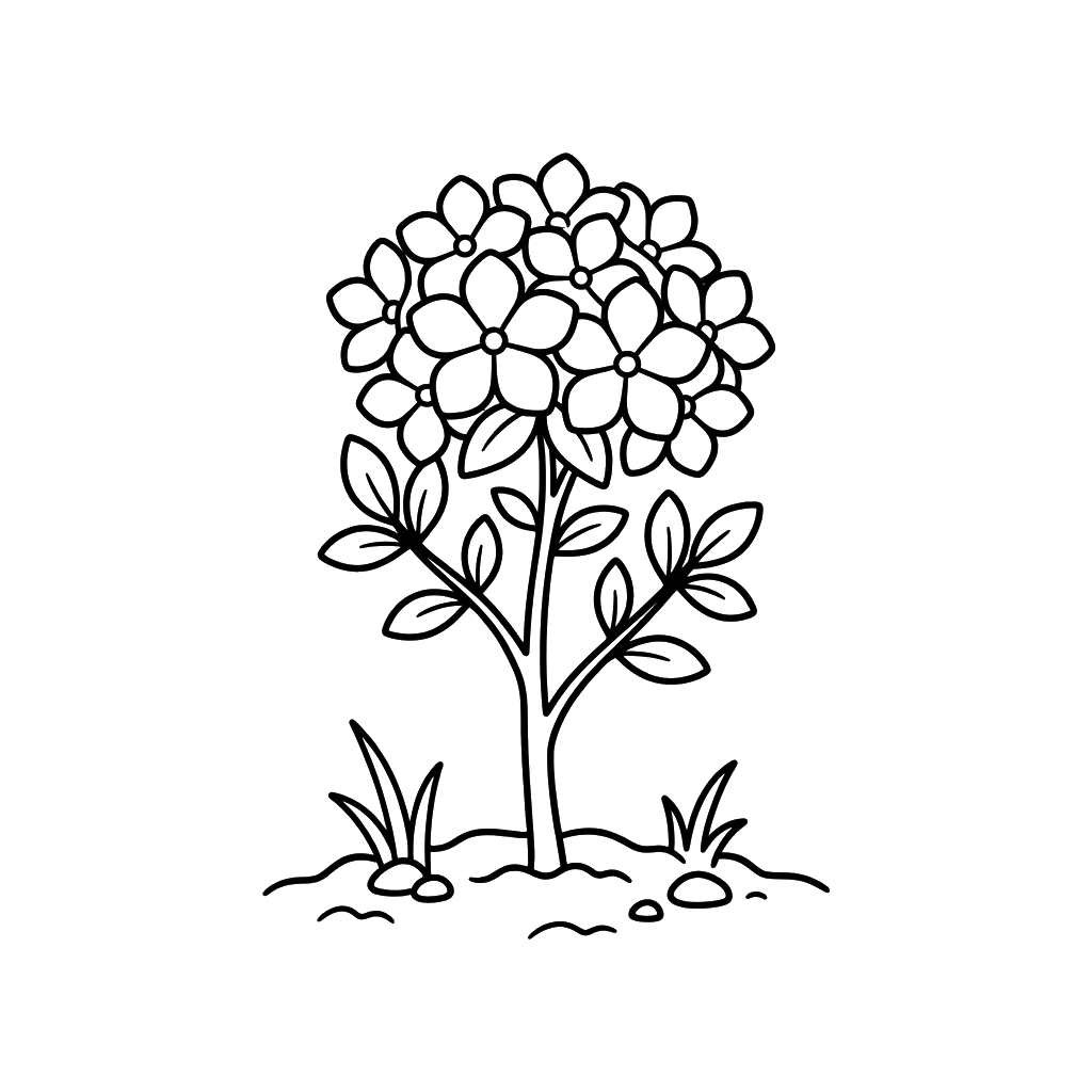 páginas para colorear gratis Hortensia para adultos 1