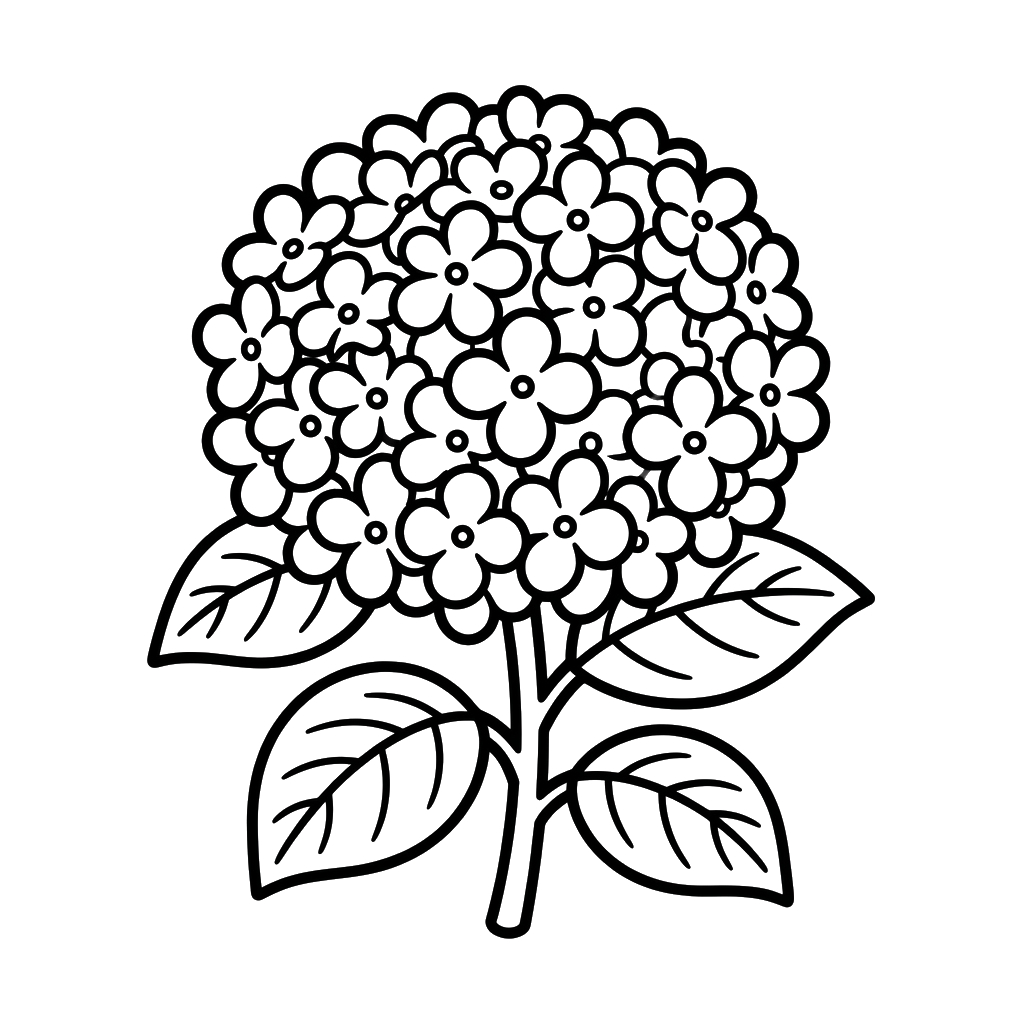 páginas para colorear gratis para adultos Hortensia
