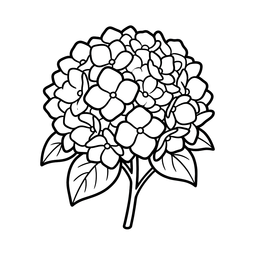 Hortensia páginas para colorear gratis