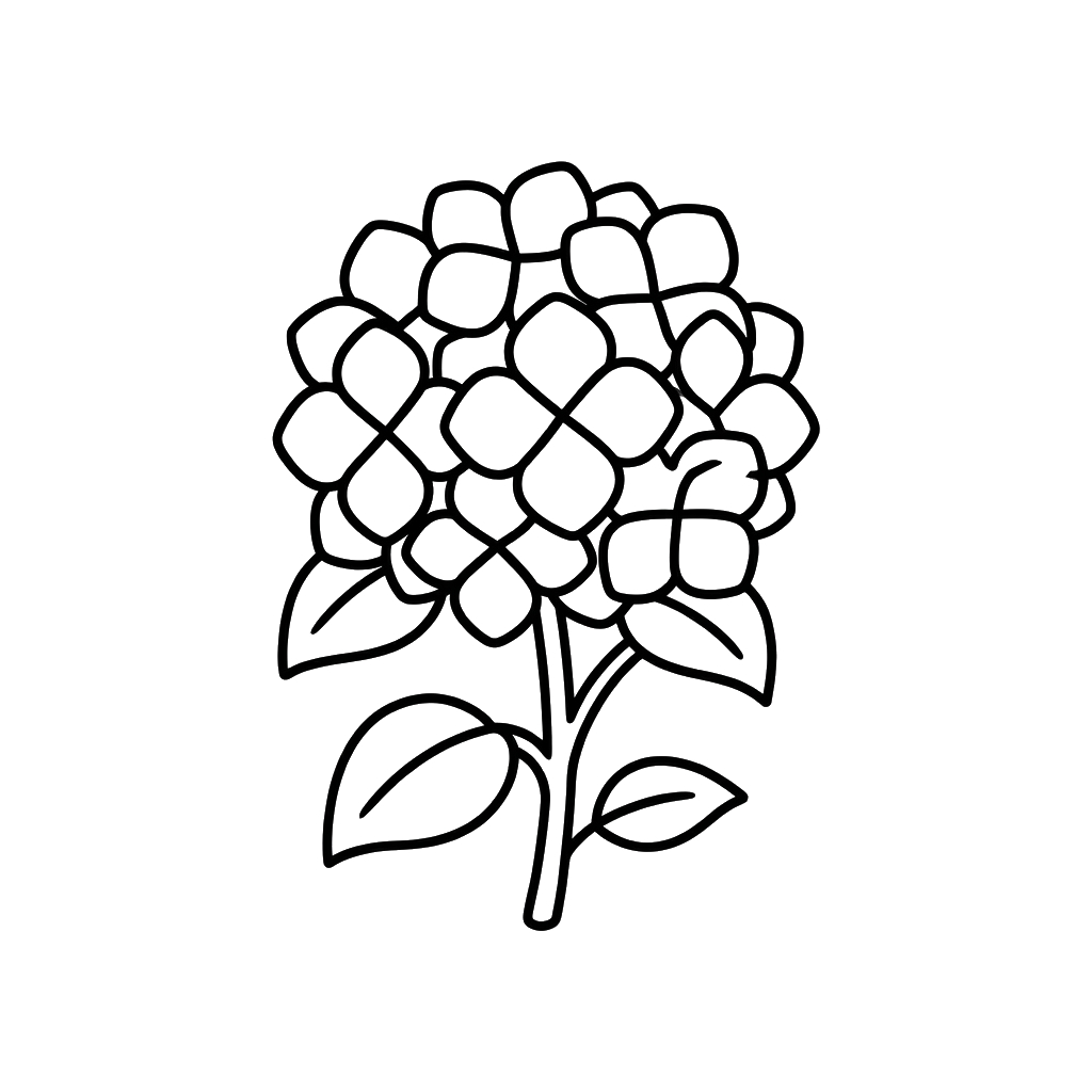 divertidas páginas para colorear Hortensia