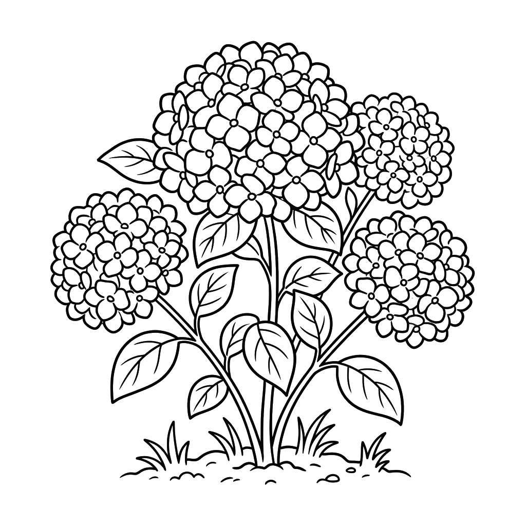 páginas para colorear gratis Hortensia para adultos