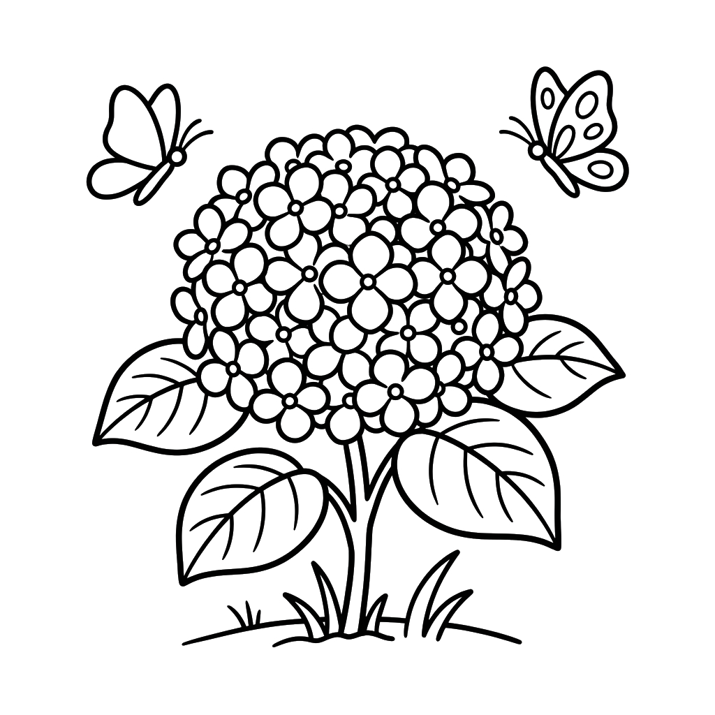páginas para colorear de preescolar Hortensia