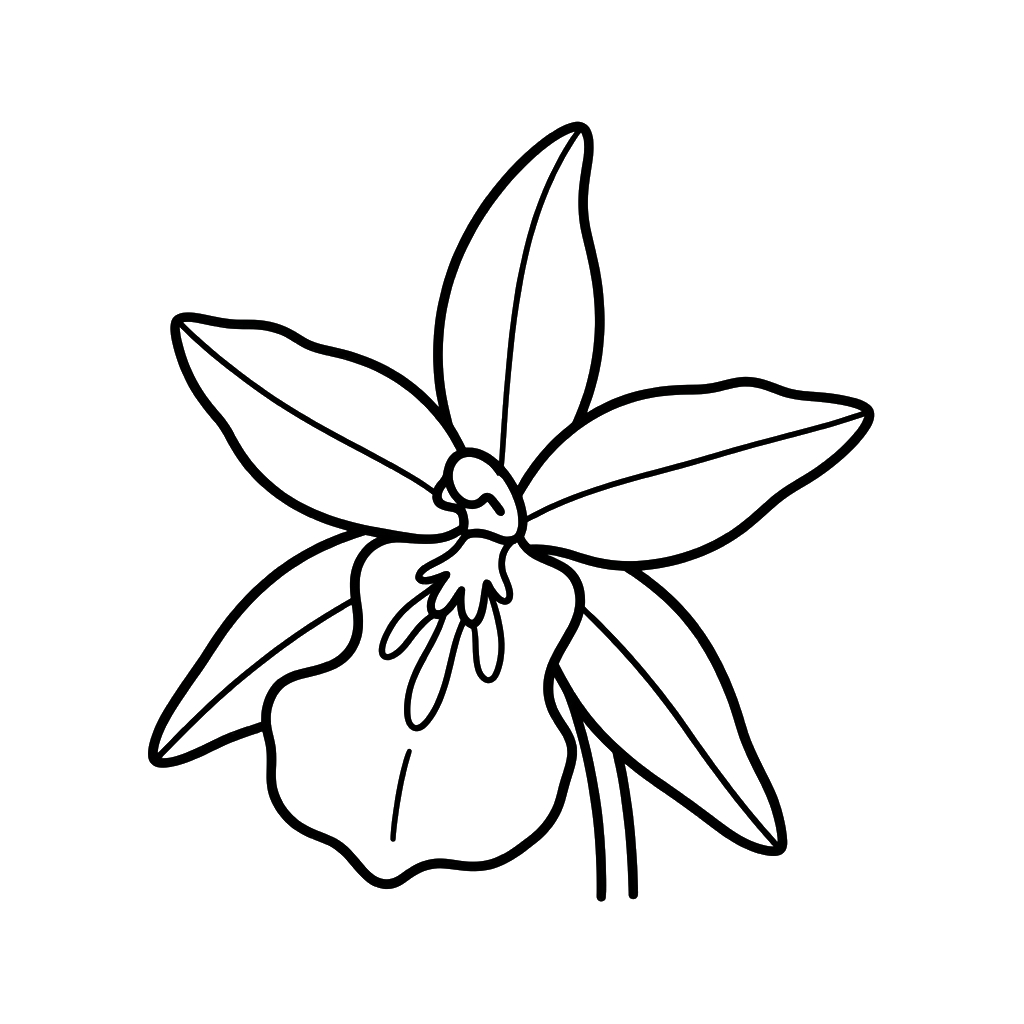 dibujos para colorear Beallara