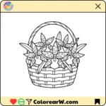 Beallara thumbnail